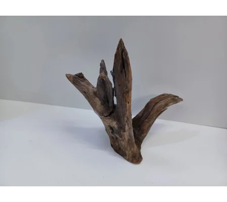 Corbo wood A23 26cm by 22cm L X H