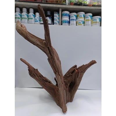 Corbo wood A24 54cm by 62cm L X H