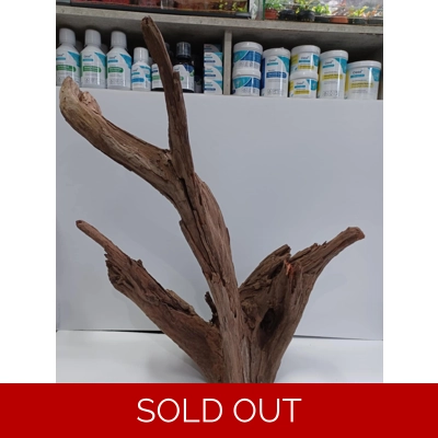 Corbo wood A24 54cm by 62cm L X H