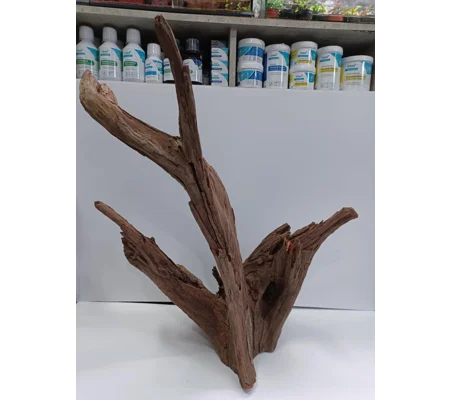 Corbo wood A24 54cm by 62cm L X H