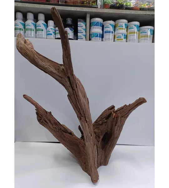 Corbo wood A24 54cm by 62cm L X H