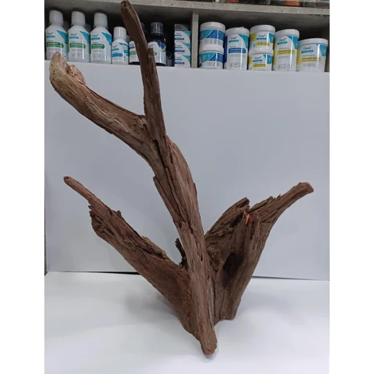 Corbo wood A24 54cm by 62cm L X H