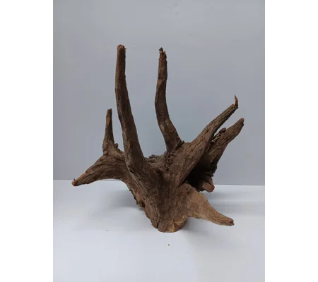 Corbo wood A27 29cm by 32cm L X H