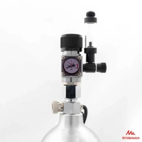 Strideways Pro CO2 Regulator and Solenoid