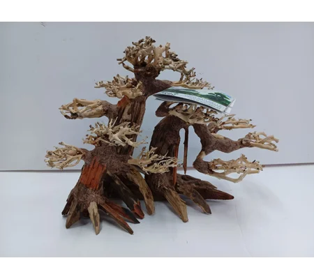 Aqua bonsai A33 L X H 30cm by 17cm