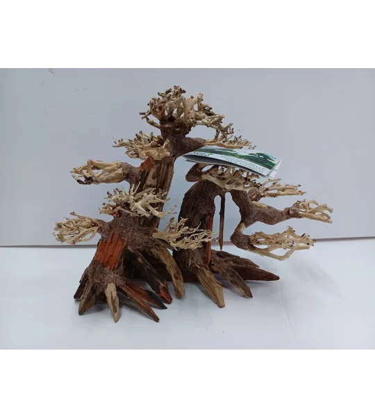 Aqua bonsai A33 L X H 30cm by 17cm