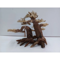 Aqua bonsai 30cm A33 L X H 30cm by 17cm