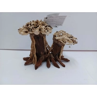 Aquatic bonsai forest double A34 L X H 20cm by 13cm