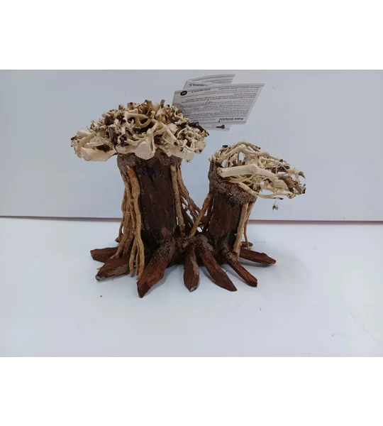 Aquatic bonsai forest double A34 L X H 20cm by 13cm