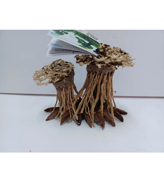 Aquatic bonsai forest double A34 L X H 20cm by 13cm
