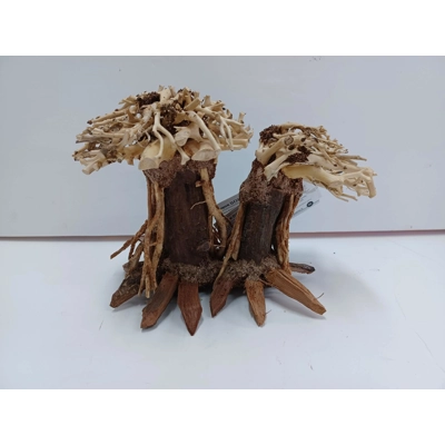 Aquatic bonsai forest double A35 20cm by 13cm L X H