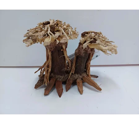 Aquatic bonsai forest double A35 20cm by 13cm L X H