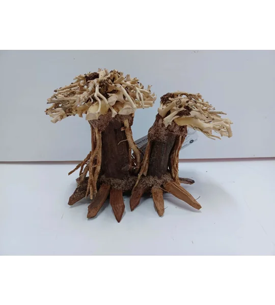 Aquatic bonsai forest double A35 20cm by 13cm L X H
