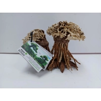 Aquatic bonsai forest double A35 20cm by 13cm L X H