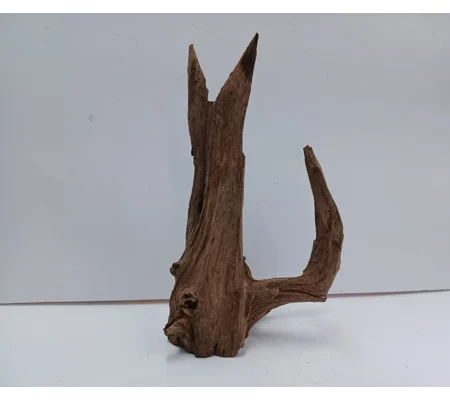 Corbo wood A36 25cm by 36cm L X H