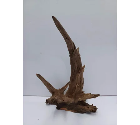 Corbo wood A38 29cm by 41cm L X H