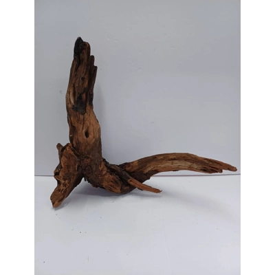 Strideways horn wood A39 45cm by 38cm L X H