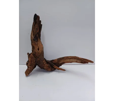 Strideways horn wood A39 45cm by 38cm L X H