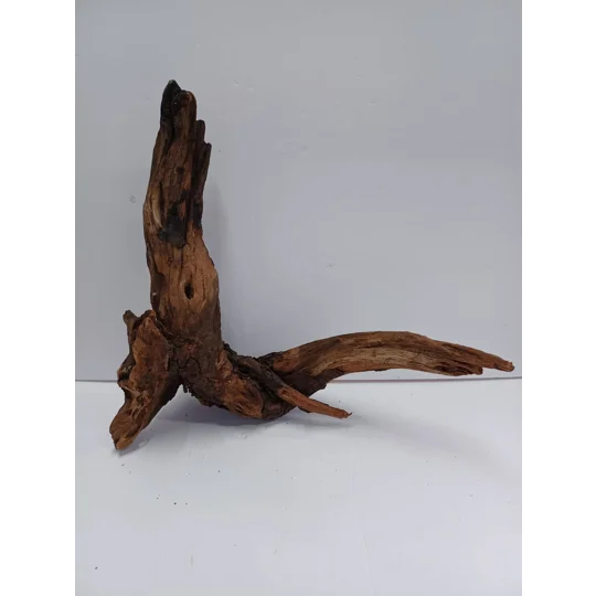 Strideways horn wood A39 45cm by 38cm L X H