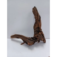 Strideways horn wood A39 45cm by 38cm L X H