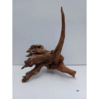 Strideways horn wood A40 31cm by 40cm L X H