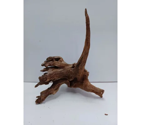 Strideways horn wood A40 31cm by 40cm L X H