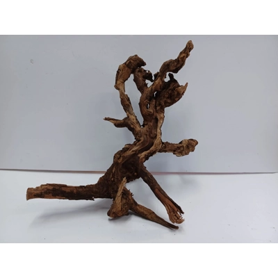 Strideways horn wood A41 27cm by 33cm L X H