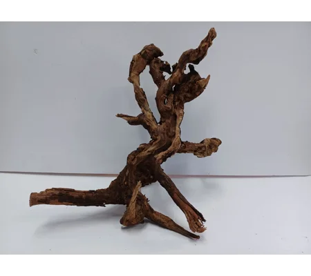 Strideways horn wood A41 27cm by 33cm L X H