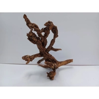 Strideways horn wood A41 27cm by 33cm L X H