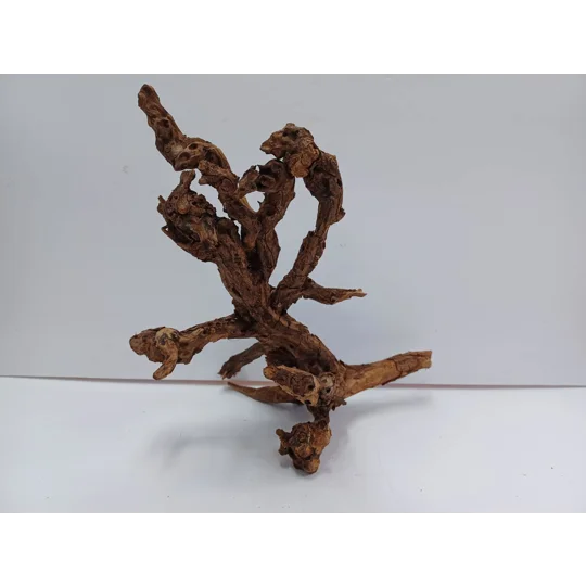 Strideways horn wood A41 27cm by 33cm L X H