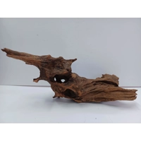 Strideways horn wood A42 47cm by 21cm long