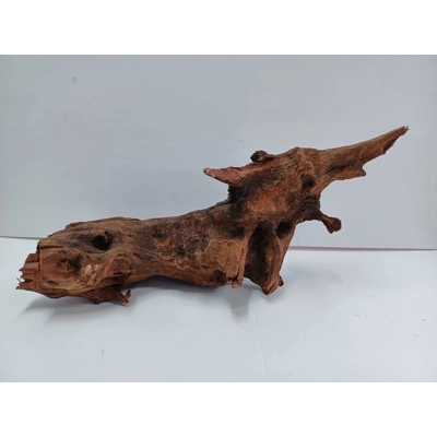 Strideways horn wood A42 47cm by 21cm long