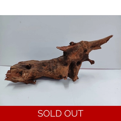 Strideways horn wood A42 47cm by 21cm long