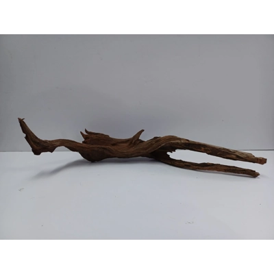 Strideways horn wood A43 49cm by 19cm L X H