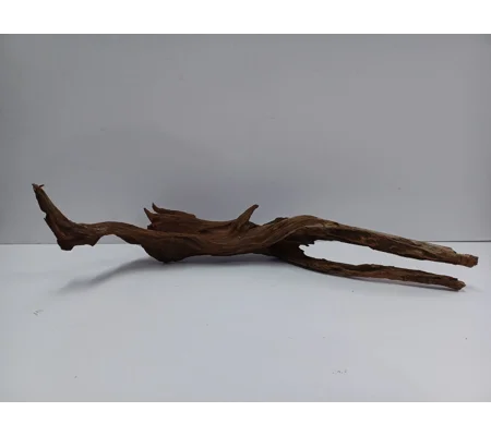 Strideways horn wood A43 49cm by 19cm L X H