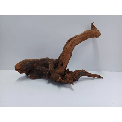 Strideways horn wood A44 41cm by 25cm L X H