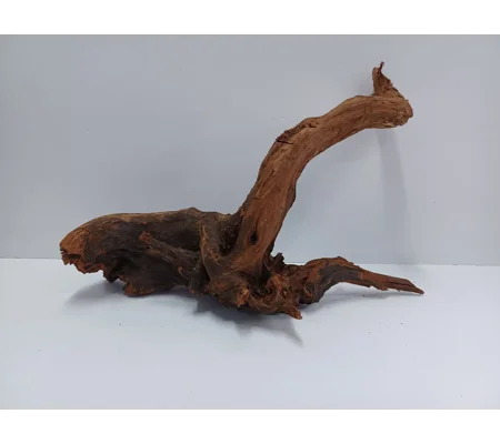 Strideways horn wood A44 41cm by 25cm L X H