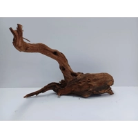 Strideways horn wood A44 41cm by 25cm L X H