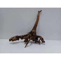 Strideways horn wood A45 31cm by 38cm L X H