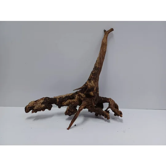 Strideways horn wood A45 31cm by 38cm L X H