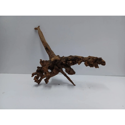 Strideways horn wood A45 31cm by 38cm L X H