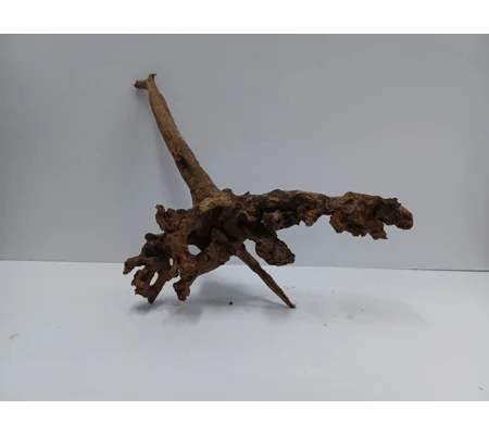 Strideways horn wood A45 31cm by 38cm L X H