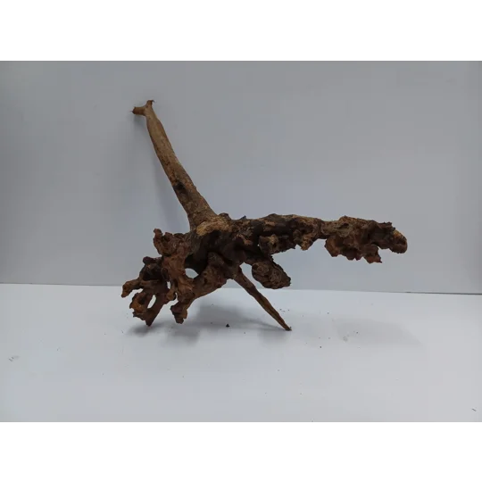 Strideways horn wood A45 31cm by 38cm L X H