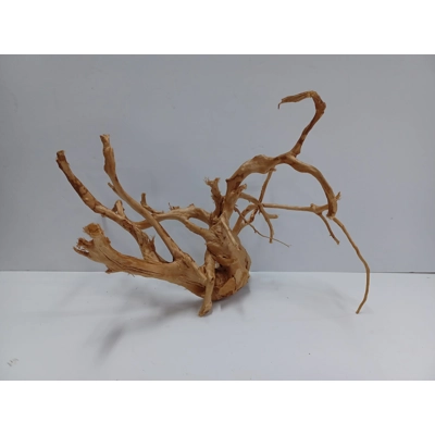 Redmoor root A46 40cm by 24cm L X H