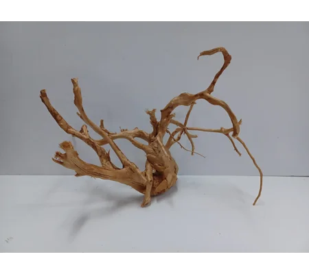 Redmoor root A46 40cm by 24cm L X H