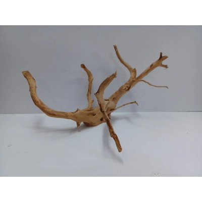 Redmoor root A47 43cm by 26cm L X H