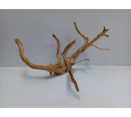 Redmoor root A47 43cm by 26cm L X H