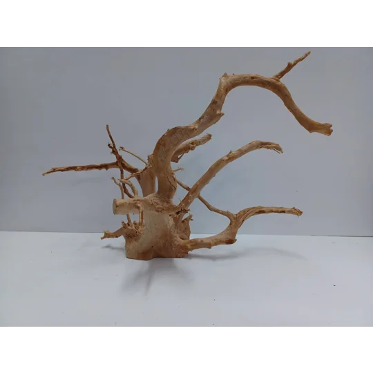 Redmoor root A48 43cm by 26cm L X H