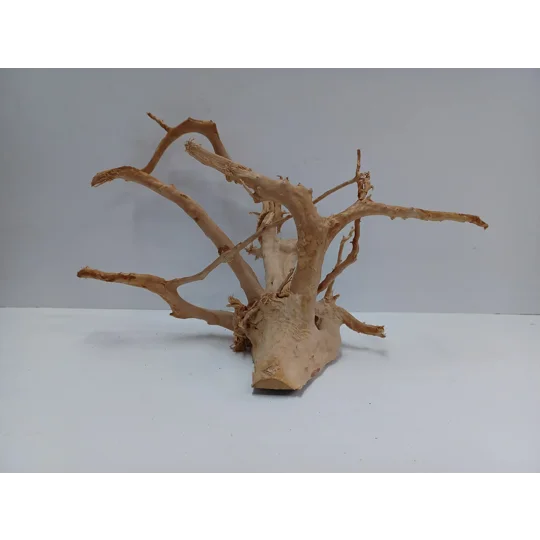Redmoor root A48 43cm by 26cm L X H
