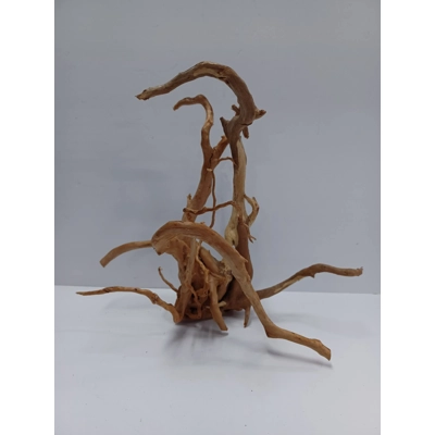 Redmoor root A49 36cm by 32cm L X H